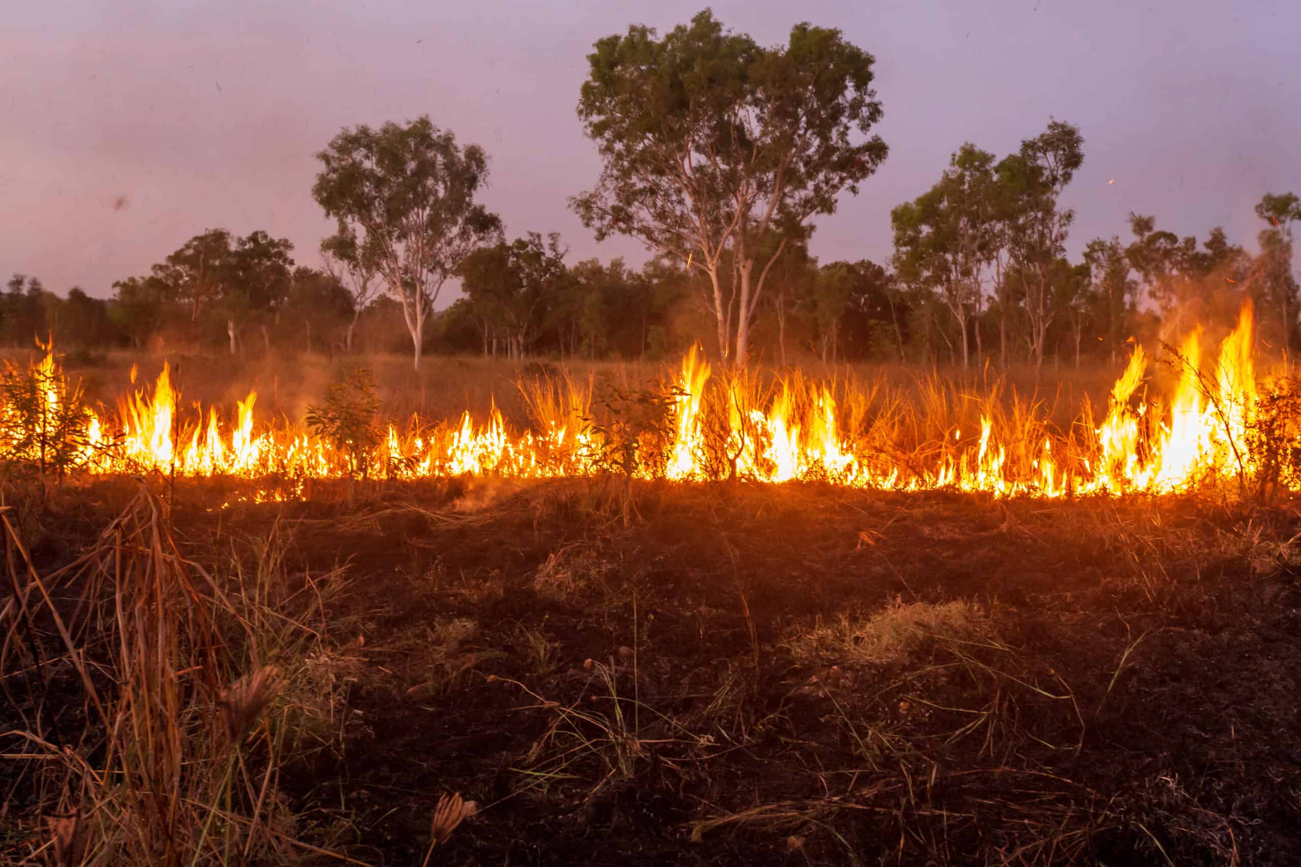 grass fire controlled burn